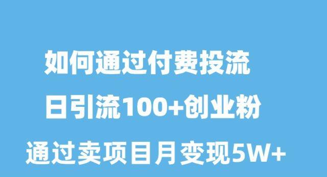 如何通过付费投流日引流100+创业粉月变现5W+-菜菜网创
