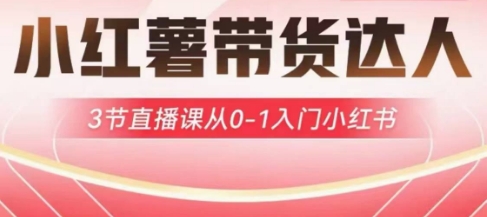 小红薯达人带货启航计划，3节直播课从0-1入门小红书-菜菜网创