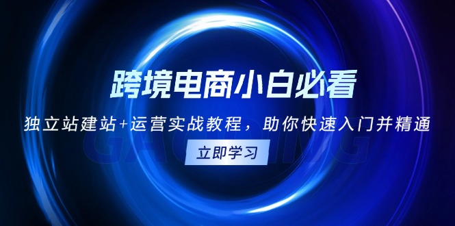 跨境电商小白必看！独立站建站+运营实战教程，助你快速入门并精通-菜菜网创