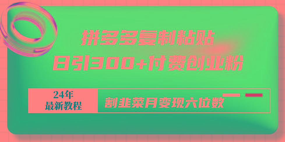 拼多多复制粘贴日引300+付费创业粉，割韭菜月变现六位数最新教程！-菜菜网创