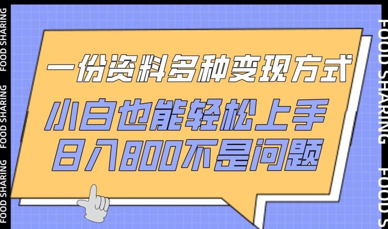 一份资料多种变现方式，小白也能轻松上手，日入800不是问题【揭秘】-菜菜网创