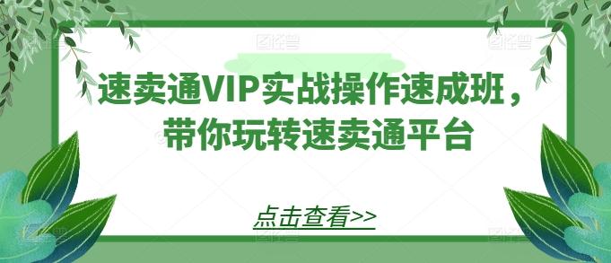 速卖通VIP实战操作速成班，带你玩转速卖通平台-菜菜网创