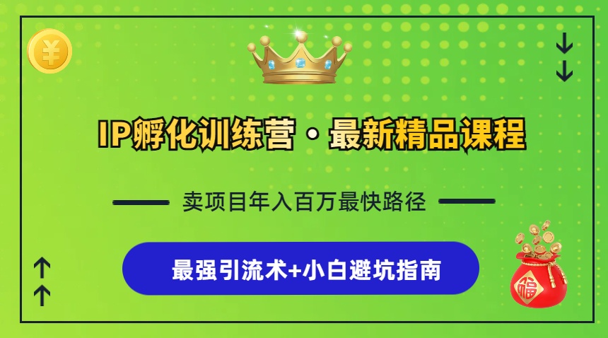 IP孵化训练营，知识付费全流程+最强引流术+小白避坑指南-菜菜网创
