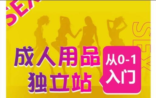 成人用品独立站从0-1入门，成品独立站运营全流程教学，七大好卖成品独立站推荐-菜菜网创