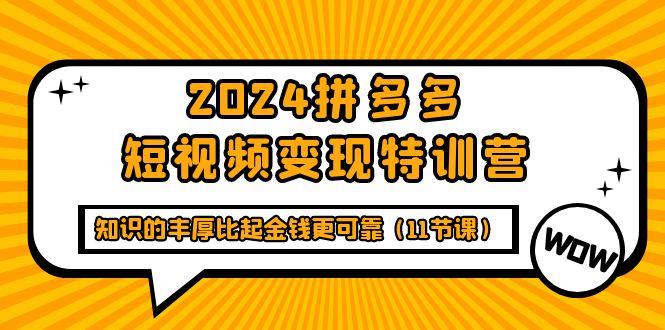 (9817期)2024拼多多短视频变现特训营，知识的丰厚比起金钱更可靠(11节课)-菜菜网创