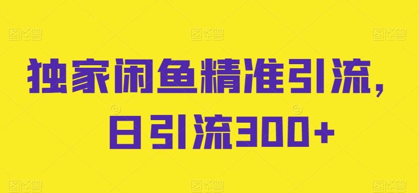 独家闲鱼精准引流，日引流300+【揭秘】-菜菜网创