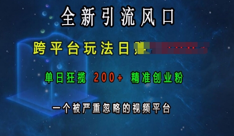 全新引流风口，跨平台玩法日入上k，单日狂揽200+精准创业粉，一个被严重忽略的视频平台-菜菜网创