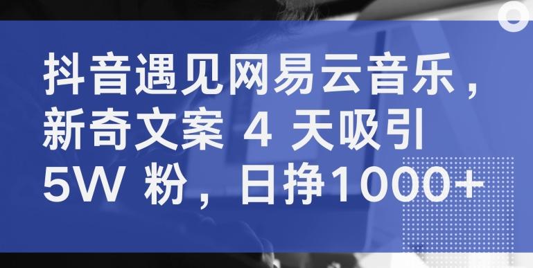 抖音遇见网易云音乐，新奇文案 4 天吸引 5W 粉，日挣1000+【揭秘】-菜菜网创