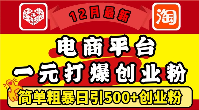 12月最新：电商平台1元打爆创业粉，简单粗暴日引500+精准创业粉，轻松月入过W【揭秘】-菜菜网创