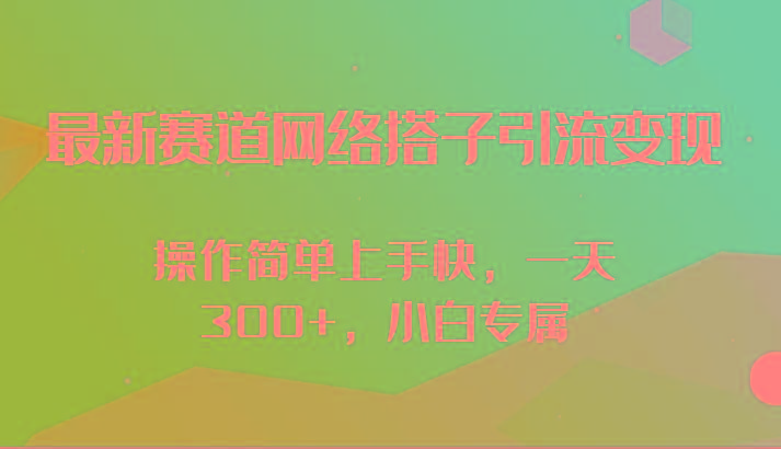 最新赛道网络搭子引流变现!!操作简单上手快，一天300+，小白专属-菜菜网创