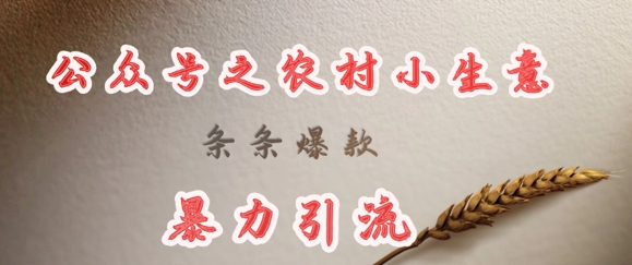 deepseek写农村小项目，条条爆款，暴力引流-菜菜网创