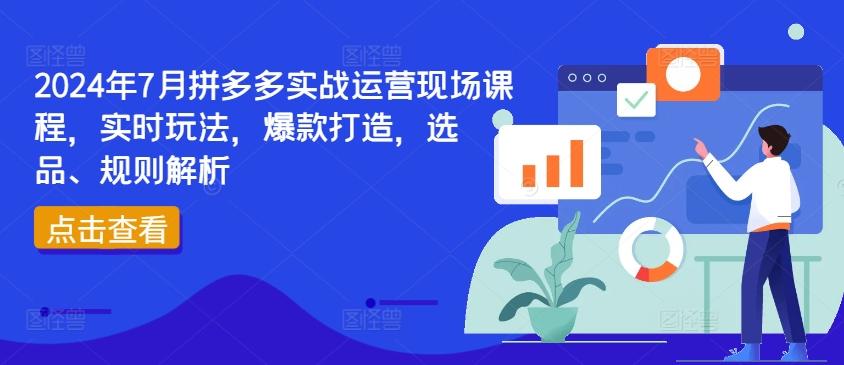 2024年7月拼多多实战运营现场课程，实时玩法，爆款打造，选品、规则解析-菜菜网创
