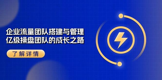企业 流量团队-搭建与管理，亿级 操盘团队的成长之路(28节课-菜菜网创