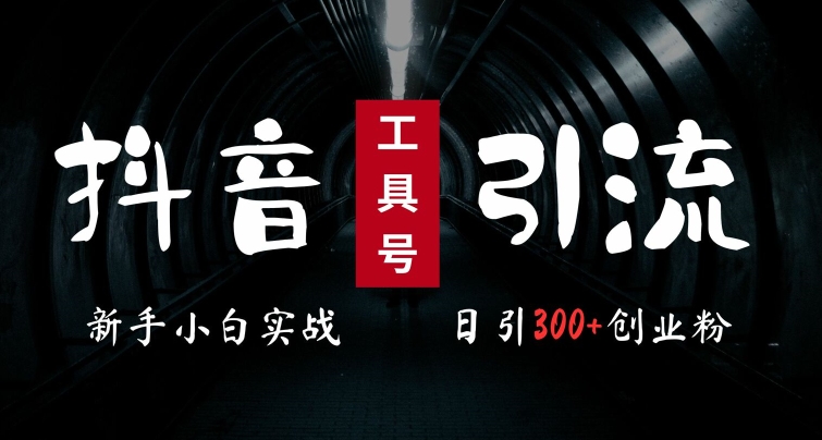 2024最新抖音工具号引流玩法，高效日引300+创业粉，当天变现5k，小白也可成为实战高手-菜菜网创
