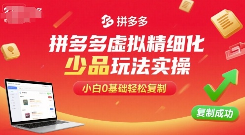 拼多多虚拟精细化少品玩法实操，小白0基础轻松复制-菜菜网创