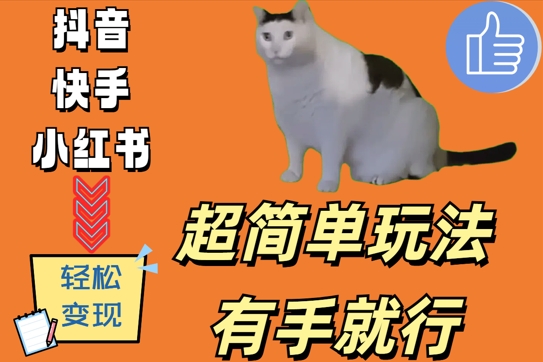 超简单玩法，有手就行，靠猫咪视频日入500+【揭秘】-菜菜网创