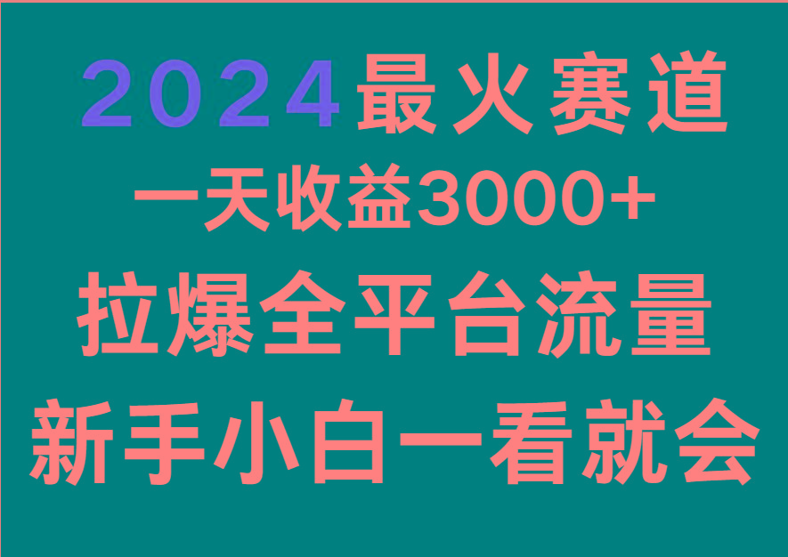 2024最火赛道，一天收一3000+.拉爆全平台流量，新手小白一看就会-菜菜网创