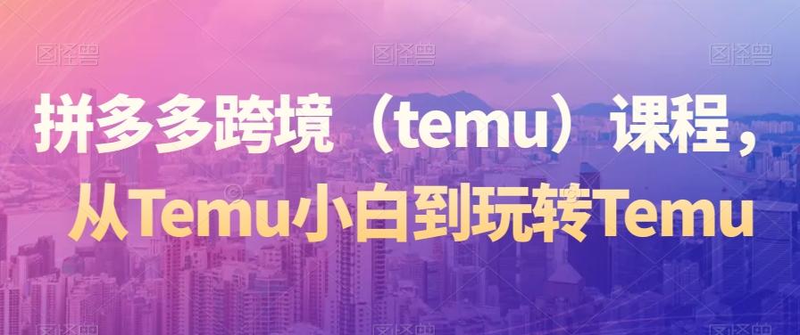 拼多多跨境（temu）课程，从Temu小白到玩转Temu-菜菜网创