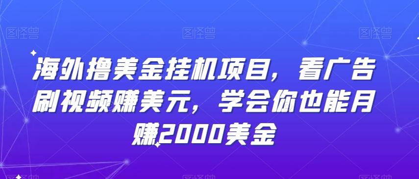 海外撸美金挂机项目，看广告刷视频赚美元，学会你也能月赚2000美金-菜菜网创