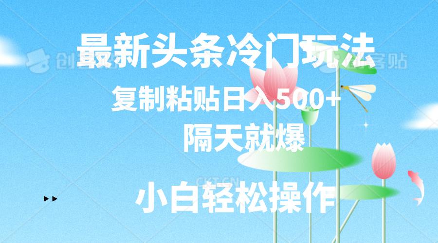最新头条冷门玩法，隔天就爆，复制粘贴日入500+-菜菜网创