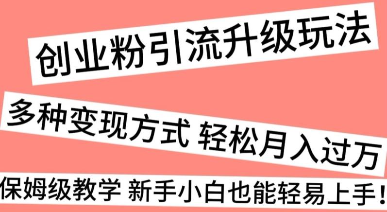 创业粉引流升级玩法，多种变现方式轻松月入过万，保姆级教学新手小白也能轻易上手！-菜菜网创