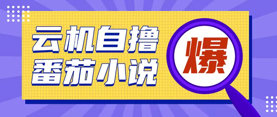 首发云手机自撸小说玩法，10块钱成本可撸200+收益操作简单【揭秘】-菜菜网创