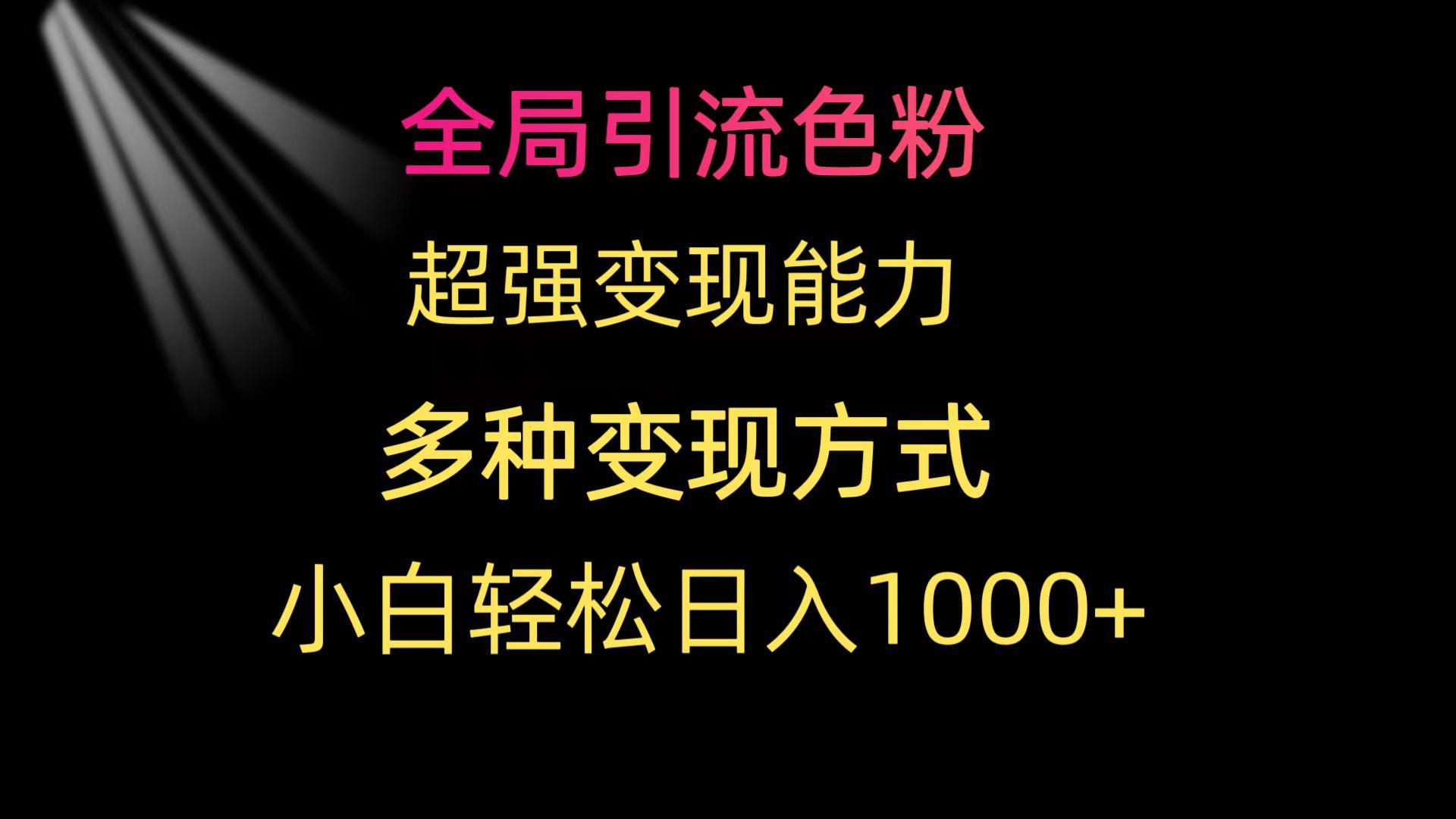 (9680期)全局引流色粉 超强变现能力 多种变现方式 小白轻松日入1000+-菜菜网创
