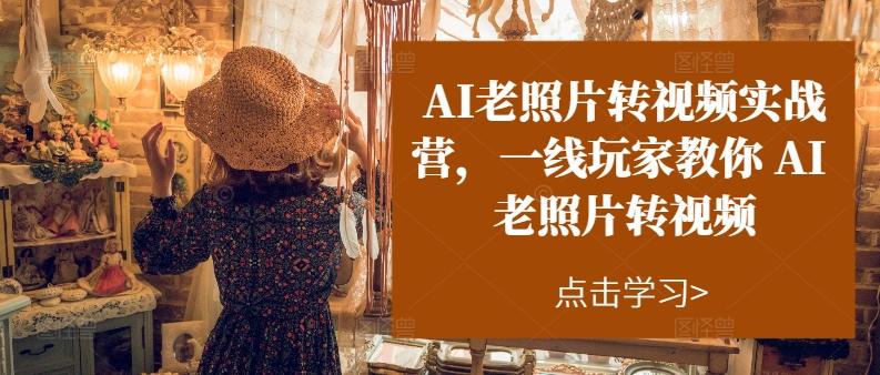 AI老照片转视频实战营，一线玩家教你AI老照片转视频-菜菜网创