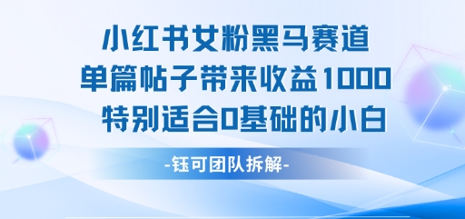 小红书女粉黑马赛道单篇帖子带来收益1k+，特别适合0基础的小白-菜菜网创
