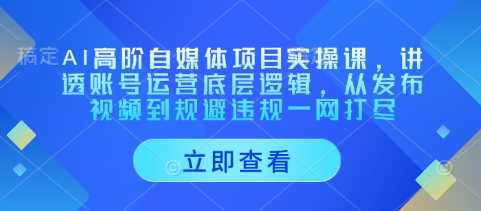 AI高阶自媒体项目实操课，讲透账号运营底层逻辑，从发布视频到规避违规一网打尽-菜菜网创