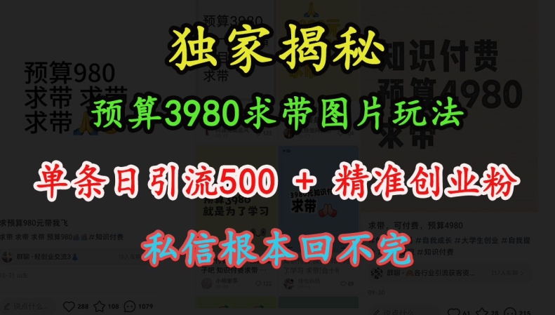 预算3980求带 图片玩法，单条日引流500+精准创业粉，私信根本回不完-菜菜网创