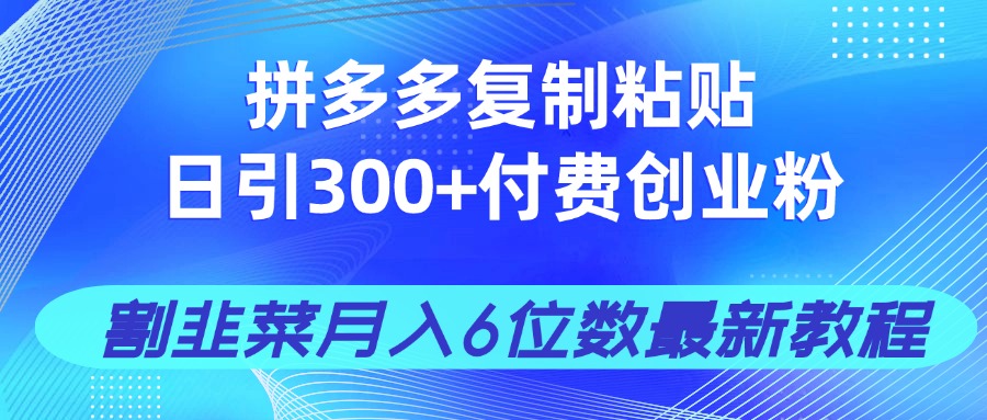 拼多多复制粘贴日引300+付费创业粉，割韭菜月入6位数最新教程！-菜菜网创