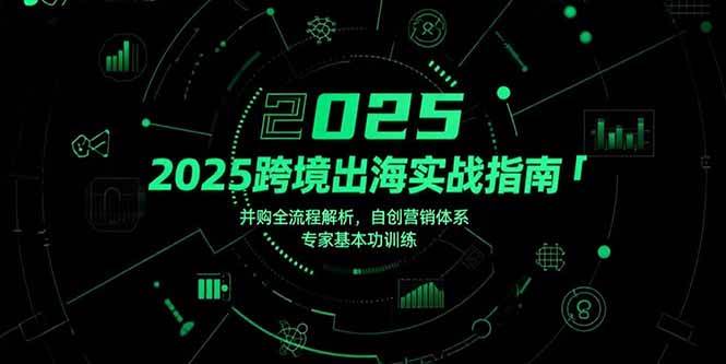 （15503期）2025跨境出海实战指南，并购全流程解析，自创营销体系，专家基本功训练-菜菜网创