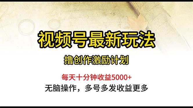 视频号最新玩法，每日一小时月入5000+-菜菜网创