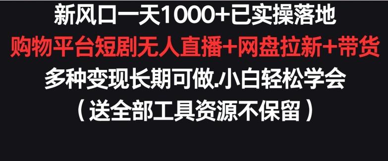 新风口一天1000+已实操落地购物平台短剧无人直播+网盘拉新+带货多种变现长期可做【揭秘】-菜菜网创
