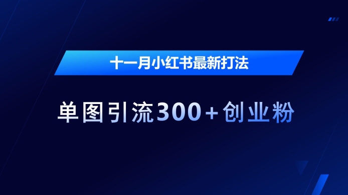 十一月小红书最新打法，单图引流300+创业粉【揭秘】-菜菜网创