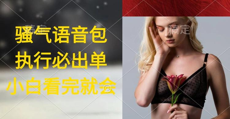 (9589期)执行就出单，日入2000+，超火骚气语音包，小白看完课程就能马上实操-菜菜网创