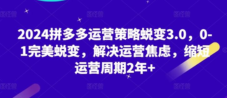 2024拼多多运营策略蜕变3.0，0-1完美蜕变，解决运营焦虑，缩短运营周期2年+-菜菜网创