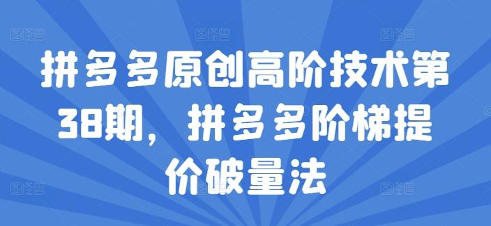 拼多多原创高阶技术第38期，拼多多阶梯提价破量法-菜菜网创