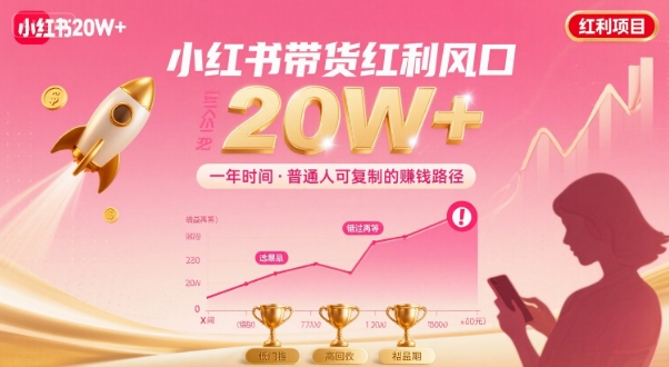 一年时间靠小红书带货项目年入20w+，最不能错的大红利项目-菜菜网创