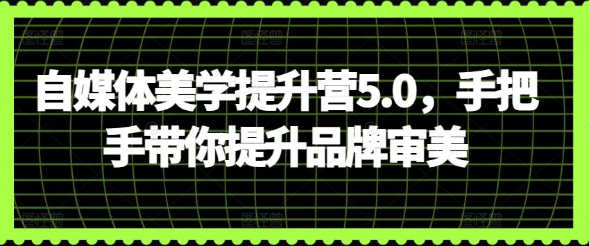 自媒体美学提升营5.0，手把手带你提升品牌审美-菜菜网创