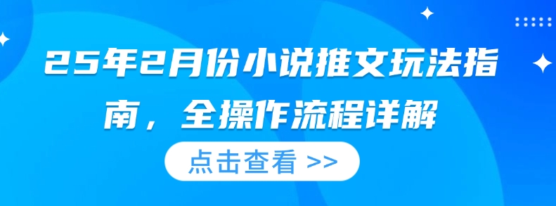 25年2月份小说推文玩法指南，全操作流程详解-菜菜网创