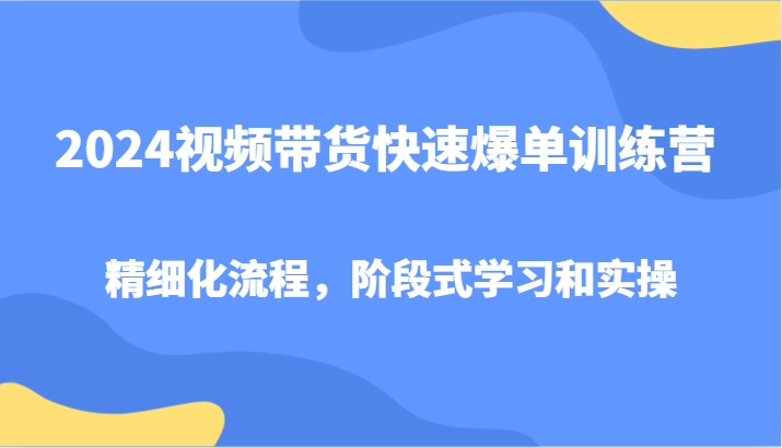 2024视频带货快速爆单训练营，精细化流程，阶段式学习和实操-菜菜网创