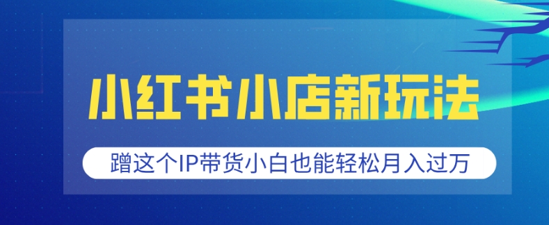 小红书小店新玩法，蹭这个IP带货，小白也能轻松月入过W【揭秘】-菜菜网创