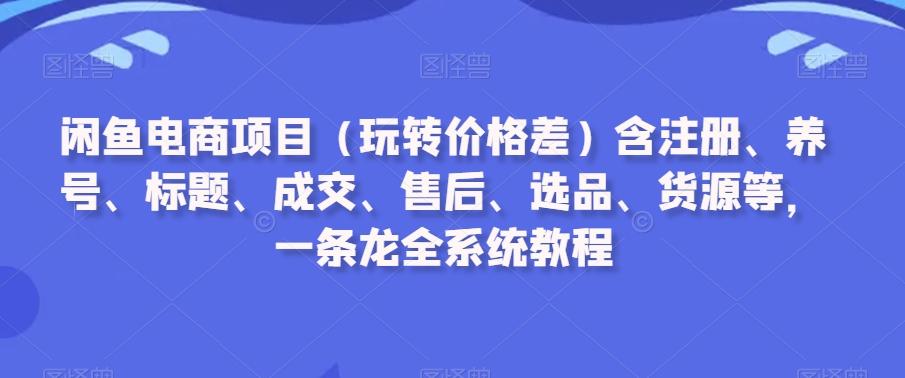 闲鱼电商项目(玩转价格差)含注册、养号、标题、成交、售后、选品、货源等，一条龙全系统教程-菜菜网创