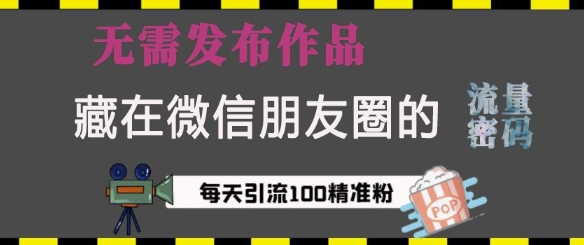 藏在微信朋友圈的流量密码，无需发布作品，单日引流100+精准创业粉【揭秘】-菜菜网创
