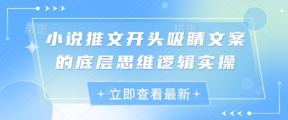 小说推文开头吸睛文案的底层思维逻辑实操-菜菜网创