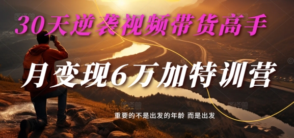 30天逆袭视频带货高手，单月变现6万加特训营-麦子甜-菜菜网创