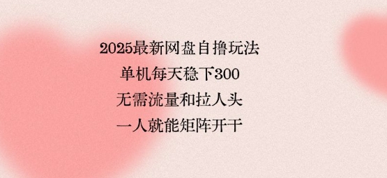 2025最新网盘自撸玩法，单机每天稳下3张，无需流量和拉人头，一个人就可轻松矩阵，全网独一份【揭秘】-菜菜网创