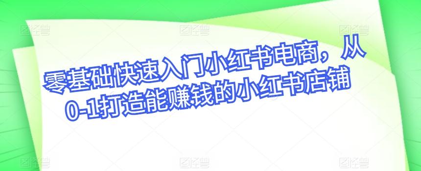 零基础快速入门小红书电商，从0-1打造能赚钱的小红书店铺-菜菜网创
